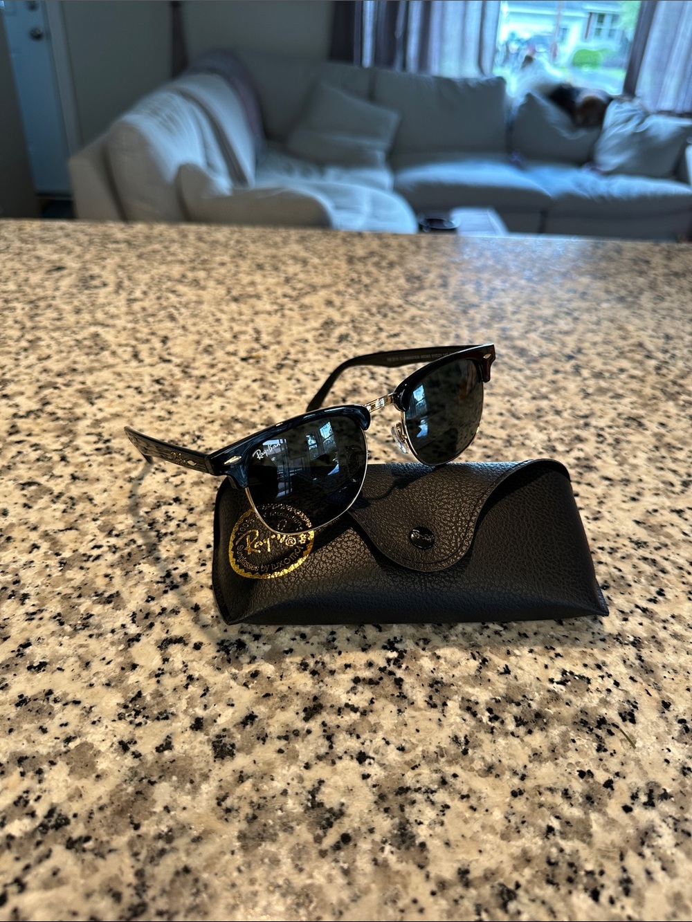 Ray-Ban Black Frame Sunglasses with Black Case
